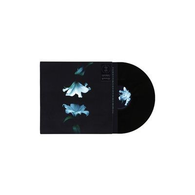 Wasia Project - Nocturne (LP)