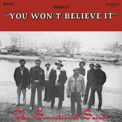 Виниловая пластинка Sensational Saints - You Won't Believe It