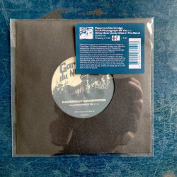 Виниловая пластинка Papernut Cambridge - I'M A Photograph Of You
