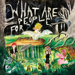 Виниловая пластинка What Are People For? - What Are People For?