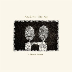 Виниловая пластинка A.Summers &amp; R.Fripp - I Advance Masked (1LP/200g/2024 mix)