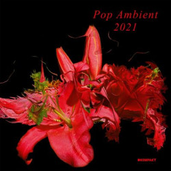 Виниловая пластинка Various Artists - Pop Ambient 2021