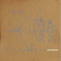 Виниловая пластинка Brian Jonestown Massacre - Aufheben
