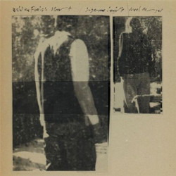 Виниловая пластинка Suzanne Langilleandneel Murgai - Wild And Foolish Heart