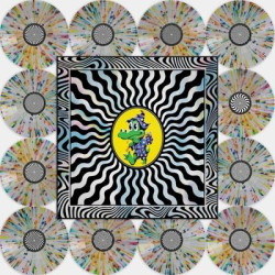 Виниловая пластинка King Gizzard And The Lizard Wizard - Field Of Vision '25 (12 Lp Rainbow Splatter Foil Box Set)