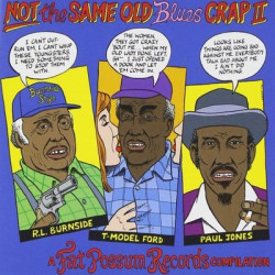 Виниловая пластинка Various Artists - Not The Same Old Blues Crap 2