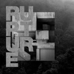 Виниловая пластинка Lost In Kiev - Rupture