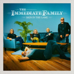 Виниловая пластинка The Immediate Family - Skin In The Game