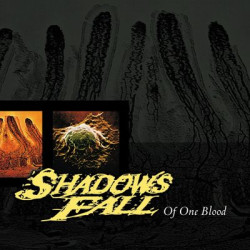 Виниловая пластинка Shadows Fall - Of One Blood (Blood Red Vinyl)