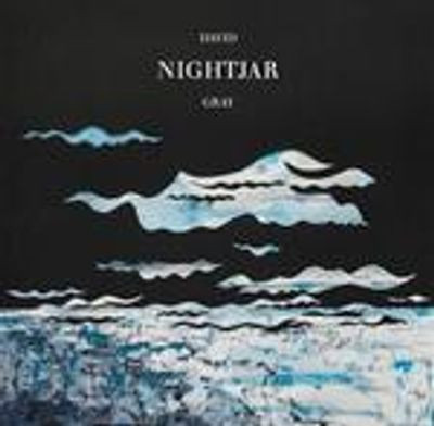 Виниловая пластинка David Gray - Nightjar