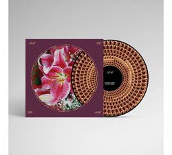 Виниловая пластинка Richard Hawley - Coles Corner (picture disc, лимитированное издание)