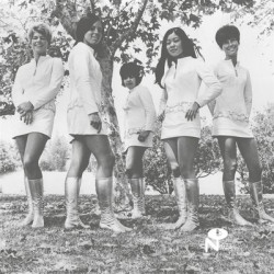 Виниловая пластинка Female Species - Tale Of My Lost Love (2022)