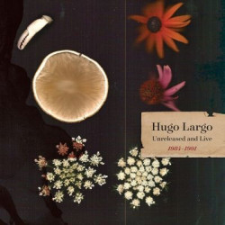 Виниловая пластинка Hugo Largo - Huge, Large and Electric: Hugo Largo 1984-1991