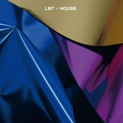 Виниловая пластинка LBT - HOUSE