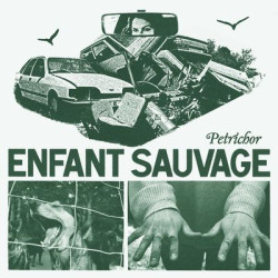 Виниловая пластинка Enfant Sauvage - Petrichor