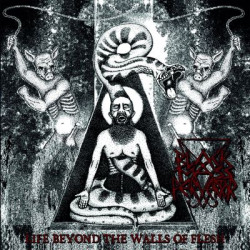 Виниловая пластинка Black Mass Pervertor - Life Beyond The Walls Of Flesh