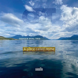 Виниловая пластинка Oddgeir Berg Trio - A Place Called Home