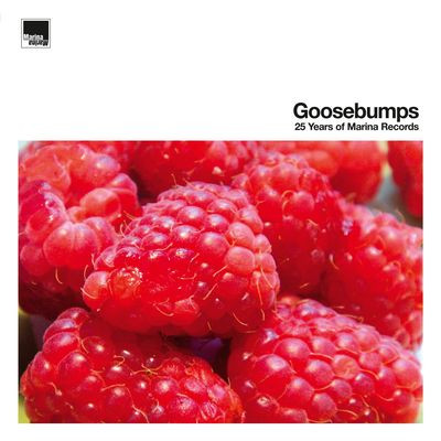 Виниловая пластинка Various Artists - Goosebumps - 25 Years Of Marin