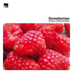 Виниловая пластинка Various Artists - Goosebumps - 25 Years Of Marin