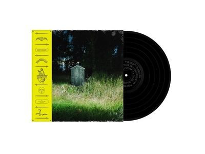 Виниловая пластинка Frank Carter & The Rattlesnakes - Dark Rainbow