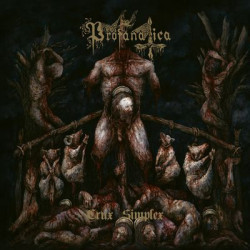Виниловая пластинка Profanatica - Crux Simplex