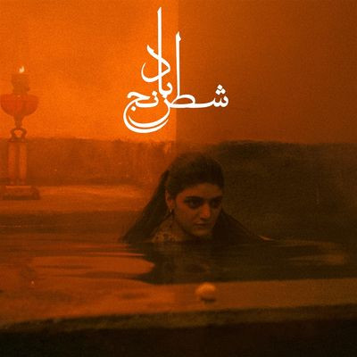 Виниловая пластинка Sheida Gharachedaghi & Mohammad Reza Aslani - Chess Of The Wind