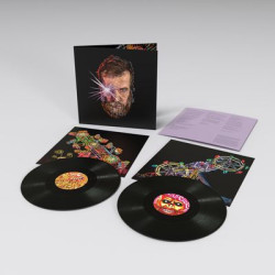 Виниловая пластинка Grant, John - Boy From Michigan (2LP D/L )