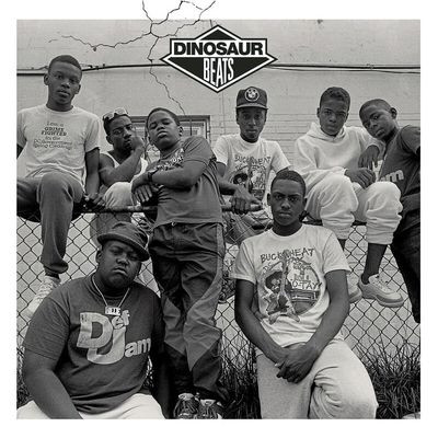 Виниловая пластинка Various - Dinosaur Beats (2LP)