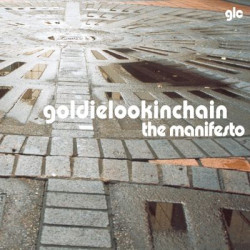 Виниловая пластинка Goldie Lookin Chain - Manifesto The