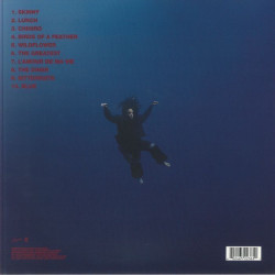 Виниловая пластинка Billie Eilish - Hit Me Hard And Soft (LP)