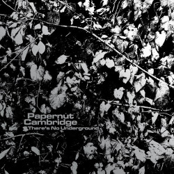 Виниловая пластинка Papernut Cambridge - There's No Underground