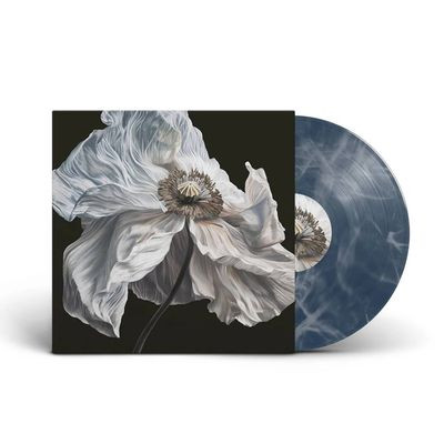 Виниловая пластинка Quicksand - Bring On The Psychics (LP)