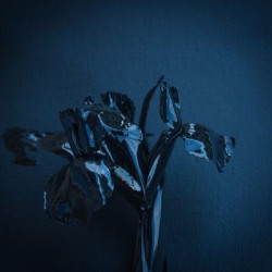 Виниловая пластинка A Swarm Of The Sun - The Rifts