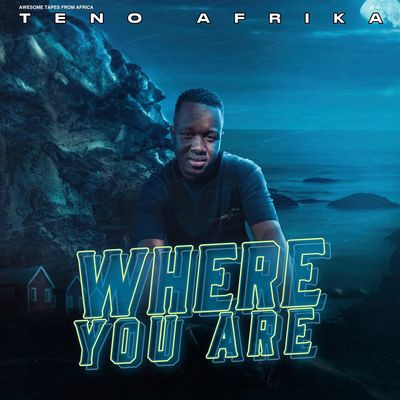 Виниловая пластинка Teno Afrika - Where You Are
