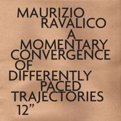 Виниловая пластинка Maurizio Ravalico - A Momentary Convergence Of Differently Paced Trajectories