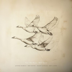 Виниловая пластинка Near The Pond - Wild Geese [180G Vinyl]