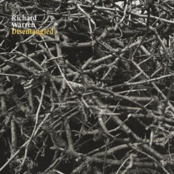 Виниловая пластинка Richard Warren - Disentangled (Green