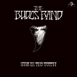 Виниловая пластинка Budos Band The - Long In The Tooth