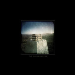 Виниловая пластинка Andrew Kötting &amp; Oliver Cherer &amp; Riz Maslen - The Whalebone Box (Original Score)