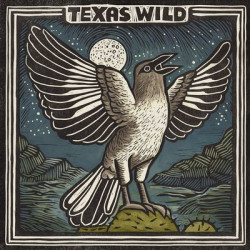 Виниловая пластинка Various Artists - Texas Wild