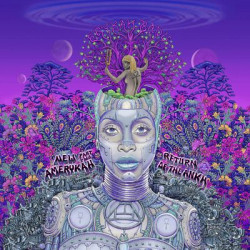 Виниловая пластинка Erykah Badu - New Amerykah (2LP)