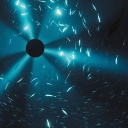 Виниловая пластинка Laurel Halo - Midnight Zone (Original Soundtrack To The Film By Julian Charrière)