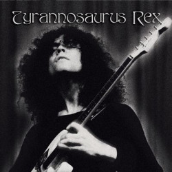Виниловая пластинка Tyrannosaurus Rex - A Crown Of Dark Swansdown