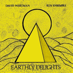 Виниловая пластинка David Wertman &amp; Sun Ensemble - Earthly Delights