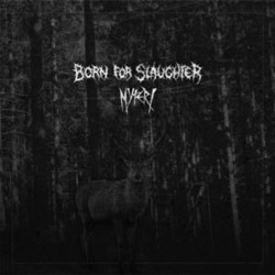 Виниловая пластинка BornForSlaughter/Myteri - Split7"