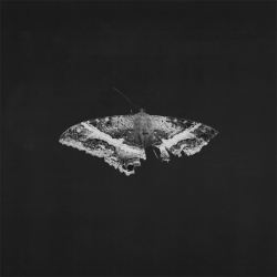 Виниловая пластинка Kendrick Lamar - To Pimp A Butterfly (2LP) 10th Anniversary