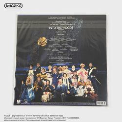 Виниловая пластинка Stephen Sondheim - Into The Woods Original Cast Recording (2LP) Green