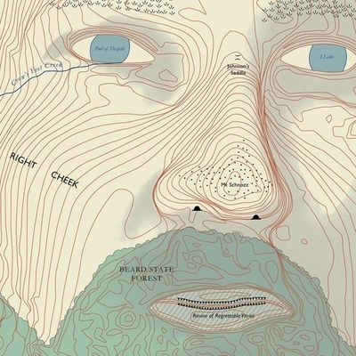 Виниловая пластинка Lawrence Arabia - Absolute Truth