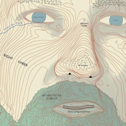 Виниловая пластинка Lawrence Arabia - Absolute Truth