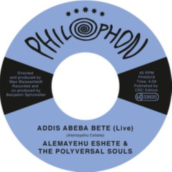 Виниловая пластинка The Polyversal Souls - Addis Abeba Bete